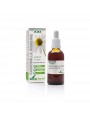 Image de Camomille romaine XXI - Extrait Fluide de Chamaemelum nobile L. 50ml - SoriaNatural via Acheter Souci XXI - Extrait Fluide de Calendula officinalis L. 50ml -