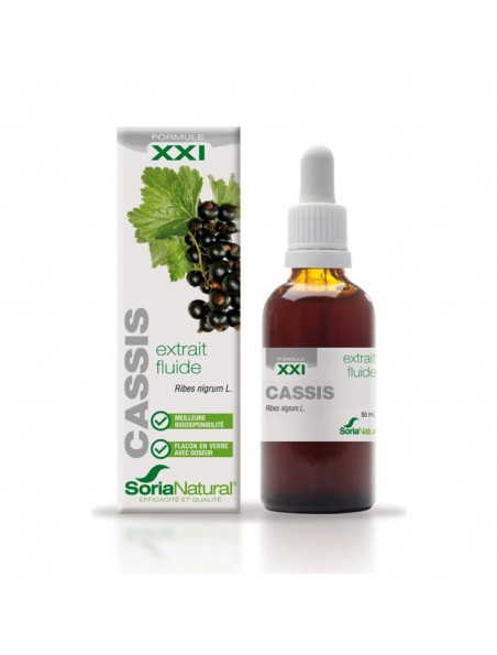 Cassis XXI - Extrait Fluide de Ribes nigrum L. 50ml - SoriaNatural