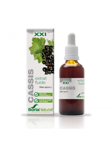 Achetez Cassis XXI - Extrait Fluide de Ribes nigrum L. 50ml - SoriaNatural à l'herboristerie Louis Image principale de Cassis XXI - Extrait Fluide de Ribes nigrum L. 50ml - SoriaNatural