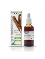 Image de Eleuthérocoque XXI - Extrait Fluide de Eleutherococcus senticosus Maxim 50ml - SoriaNatural depuis Découvrez nos extraits fluides sans alcool