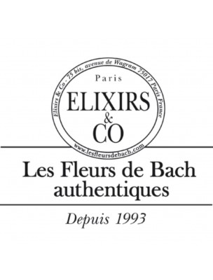 Image 44221 supplémentaire pour Elixir composé Bio aux Fleurs de Bach - Pour l'énergie 20 ml - Elixirs and Co