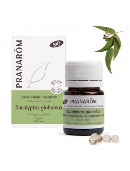 Eucalyptus globuleux Bio - Perles d'huiles essentielles 60 perles - Pranarôm