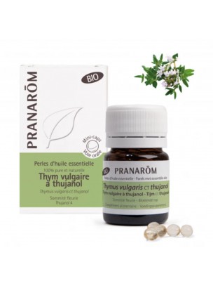 Image de Thym vulgaire à Thujanol Bio - Perles d'huiles essentielles 60 perles - Pranarôm depuis Huiles essentielles - Découvrez nos produits naturels (24)