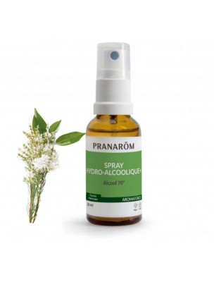 Image de Aromaforce Spray hydro-alcoolique - Assainissant 30 ml - Pranarôm depuis Sprays à diffuser : votre allié bien-être et santé | 