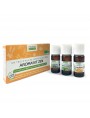 Image de Aroma'Kit Zen Bio - Trio d'huiles essentielles - Propos Nature via Acheter Rose de Jéricho - Fumigation - 10