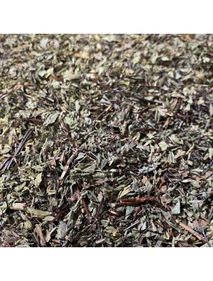 Image de Capillaire Vert (Capillaire de Montpellier) - Fronde coupée 100g - Tisane d'Adiantum capillus-veneris depuis Résultats de recherche pour "Plantes médicin"