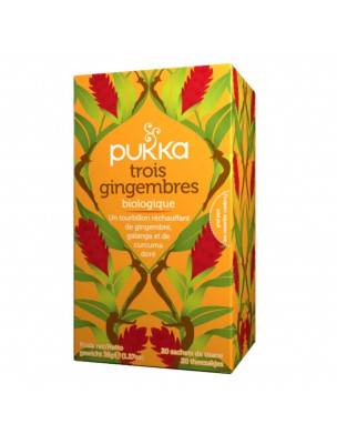 Image de Trois Gingembre Bio - Infusion 20 sachets - Pukka Herbs via Trois Menthe Bio - Infusion 20 sachets - Pukka Herbs