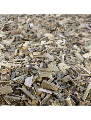 Image de Scabieuse des Champs Bio - Partie aérienne coupée 100 g - Tisane de Scabiosa arvensis depuis Tisanes unitaires de qualité en ligne - Commandez maintenant ! (10)