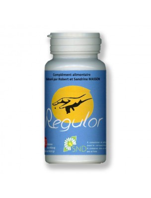 Image de Regulor - Glycémie 90 gélules - SND Nature depuis Achetez les produits SND Nature à l'herboristerie Louis