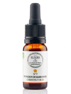 Image de Bourgeon de Marronnier (Chestnut Bud) N°07 Bio Expérience et Erreurs Fleurs de Bach 10 ml - Elixirs and Co depuis Résultats de recherche pour "Box 38 flowers "