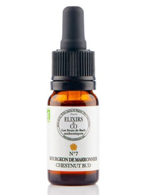 Image de Chestnut Bud N°07 Organic Experience and Mistakes Flowers of Bach 20 ml - Elixirs and Co depuis The flowers of Bach to overcome your hypersensitivity to others