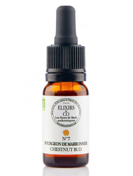 Image principale de Bourgeon de Marronnier (Chestnut Bud) N°07 Bio Expérience et Erreurs Fleurs de Bach 10 ml - Elixirs and Co