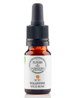 Image de Églantine (Wild Rose) N°37 Bio - Vitalité et Joie de Vivre Fleurs de Bach 10 ml - Elixirs and Co depuis louis-herboristerie