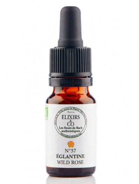 Achetez Églantine (Wild Rose) N°37 Bio - Vitalité et Joie de Vivre Fleurs de Bach 10 ml - Elixirs and Co à l'herboristerie Louis Image principale de Églantine (Wild Rose) N°37 Bio - Vitalité et Joie de Vivre Fleurs de Bach 10 ml - Elixirs and Co