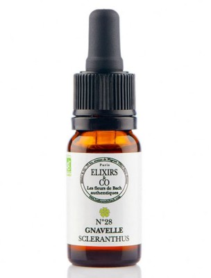 Image de Gnavelle (Scleranthus) N°28 Bio - Prise de Décisions Fleurs de Bach 10 ml - Elixirs and Co depuis 38 Fleurs de Bach unitaires - Commandez en ligne ! (2)