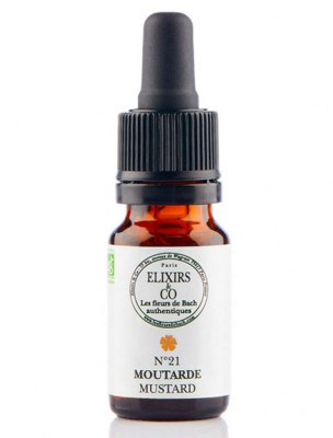 Image de Moutarde (Mustard) N°21 Bio - Contre la Tristesse Fleurs de Bach 10 ml - Elixirs and Co depuis Résultats de recherche pour "Mustard (Moutar"