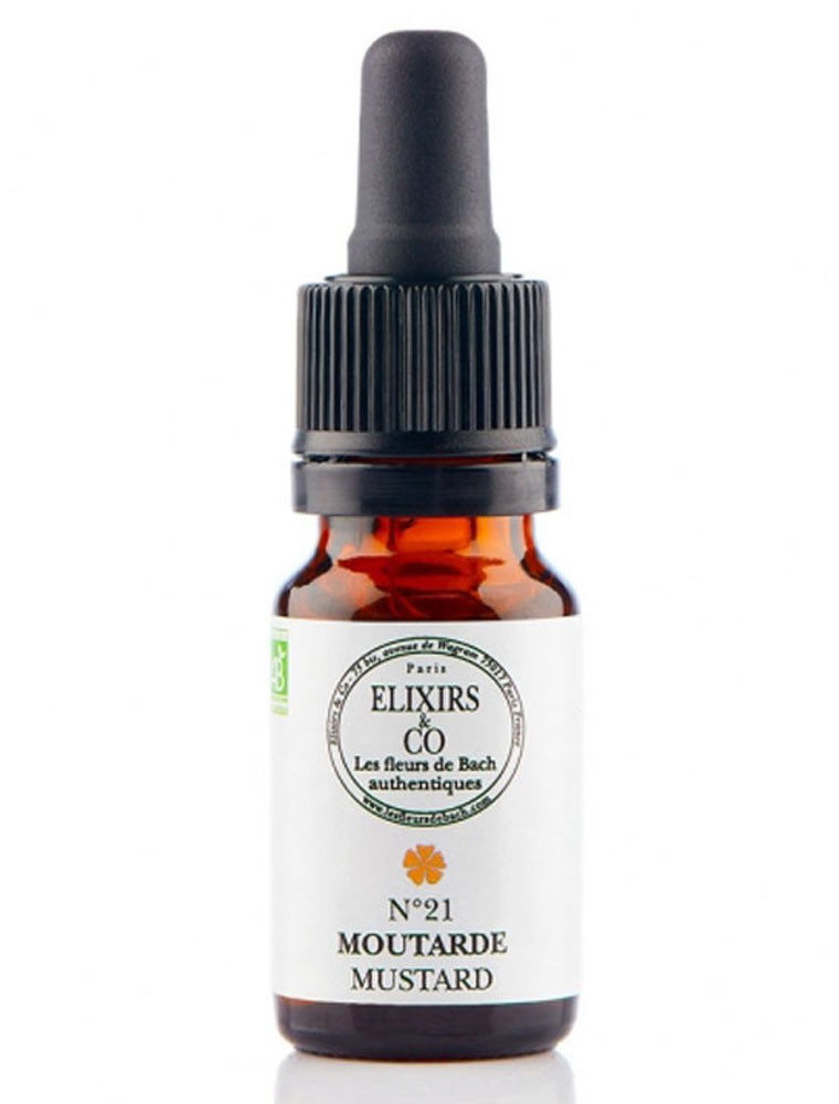 Image principale de la modale pour Moutarde (Mustard) N°21 Bio - Contre la Tristesse Fleurs de Bach 10 ml - Elixirs and Co