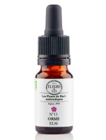 Image de Orme (Elm) N°11 Bio - Contre la Sensation d'être Débordé Fleurs de Bach 10 ml - Elixirs and Co depuis 38 Fleurs de Bach unitaires - Commandez en ligne ! (3)