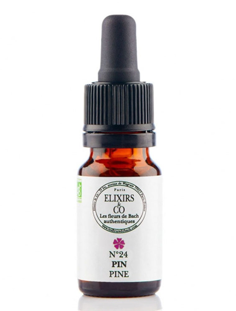 Image principale de la modale pour Pin (Pine) N°24 Bio - Culpabilité Fleurs de Bach 10 ml - Elixirs and Co