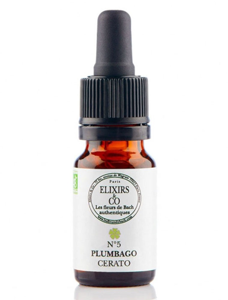 Image principale de la modale pour Plumbago (Cerato) N°05 Bio - Pour s'affirmer Fleurs de Bach 10 ml - Elixirs and Co