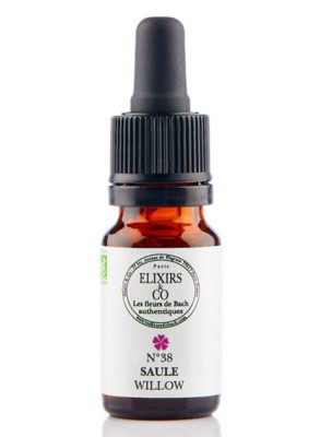 Image de Saule (Willow) N°38 Bio - Contre le sentiment d'injustice Fleurs de Bach 10 ml - Elixirs and Co depuis Fleurs de Bach naturelles pour votre bien-être | Boutique en ligne (9)