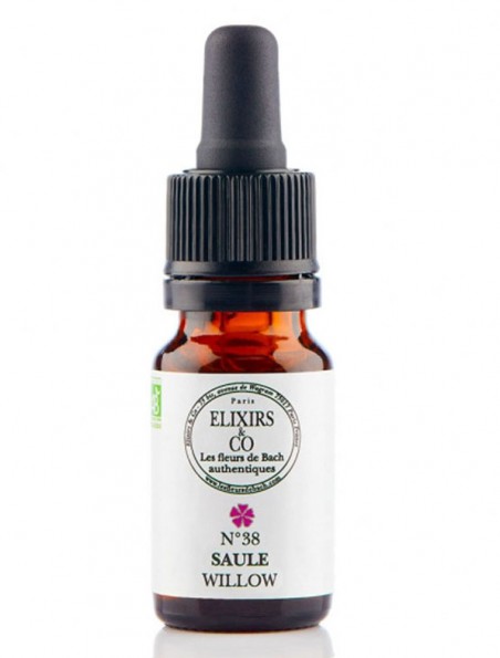 Image principale de Saule (Willow) N°38 Bio - Contre le sentiment d'injustice Fleurs de Bach 10 ml - Elixirs and Co