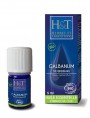 Image de Galbanum Férule Bio - Huile essentielle de Ferula galbaniflua 5 ml - Herbes et Traditions via Acheter Hysope Bio - Huile essentielle de Hyssopus officinalis var.