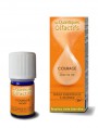 Image de Courage - Vie quotidienne 5 ml - Les Quantiques Olfactifs via Acheter Renaissance - Vie quotidienne 5 ml - Les Quantiques