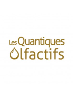 Image 46252 supplémentaire pour Enthousiasme - Vie quotidienne 5 ml - Les Quantiques Olfactifs