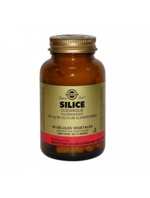 Image de Silice Océanique - Articulations, Peau et Cheveux 50 gélules végétales - Solgar depuis Silicium organique : améliorez votre bien-être avec nos produits de qualité.