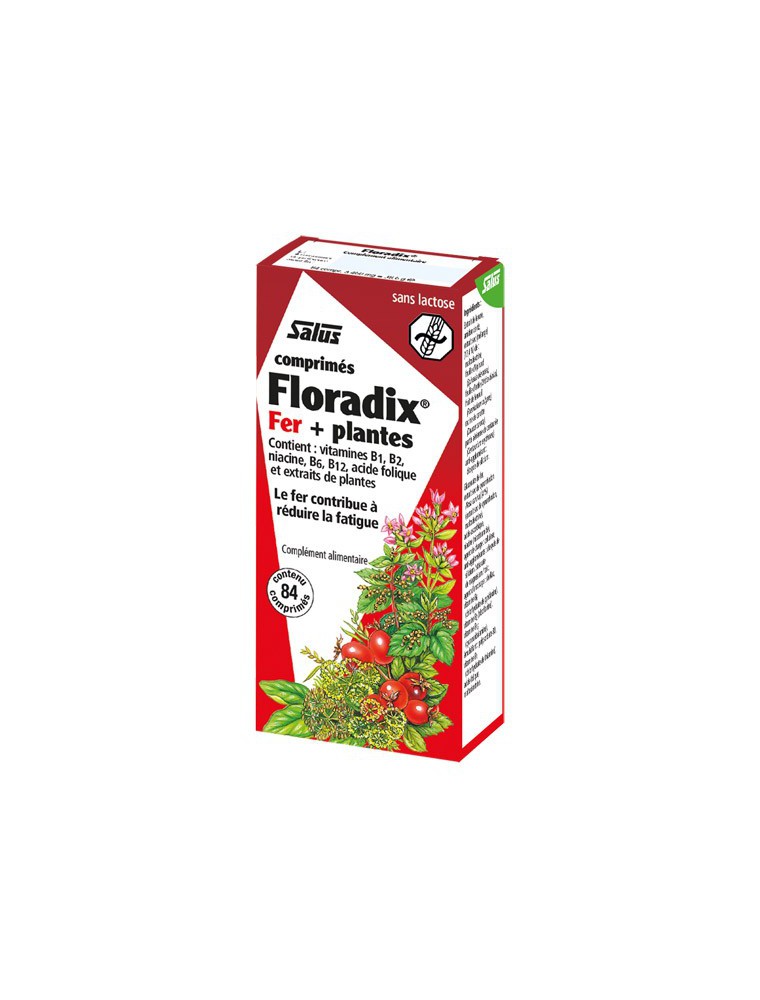 Image principale de la modale pour Floradix Fer + plantes - Tonique 84 comprimés - Salus