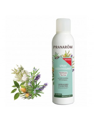 Image de Aromaforce Sanitizing Spray - Ravintsara Tea Tree 150 ml Pranarôm depuis Respiratory essential oils synergies for winter