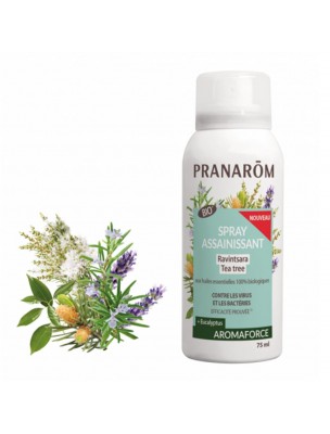 Image de Aromaforce Sanitizing Spray - Ravintsara Tea Tree 75 ml Pranarôm depuis Winter ailments: plants for the respiratory tract