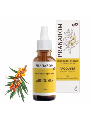 Image de Argousier Bio - Huile végétale Prédiluée d'Hippophae rhamnoides 30 ml - Pranarôm depuis Résultats de recherche pour "Argousier"