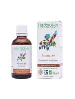 Image de Amandier Macérât de bourgeon Bio - Circulation et Purification 50 ml - Herbiolys depuis Bourgeons de gemmothérapie unitaires, en complexes, en gommes ou sans alcool.