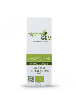 Image de Amandier Macérat de bourgeons Bio - Prunus dulcis 15 ml - Alphagem depuis Résultats de recherche pour "Bouleau bourgeo"