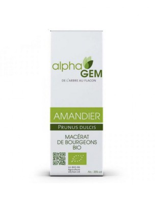 Image de Amandier Macérat de bourgeons Bio - Prunus dulcis 50 ml - Alphagem depuis louis-herboristerie