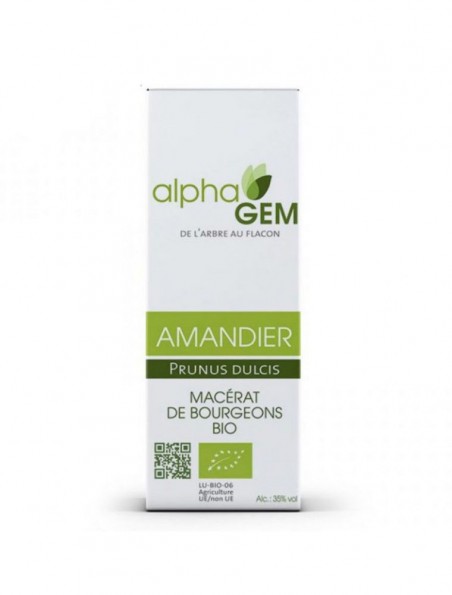 Image principale de Amandier Macérat de bourgeons Bio - Prunus dulcis 50 ml - Alphagem