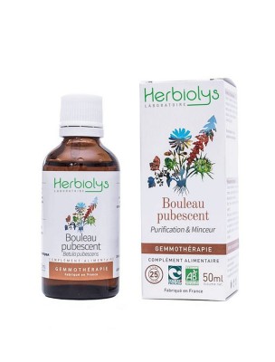 Image de Bouleau pubescent Macérât de bourgeon Bio - Purifiaction et Minceur 50 ml - Herbiolys via Bouleau Totum Boisson Bio - Drainage 480 ml - Dietaroma