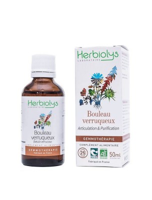 Image de Bouleau verruqueux Macérât de bourgeon Bio - Articulation et Purification 50 ml - Herbiolys via Bouleau Macérat de bourgeons Bio - Alphagem