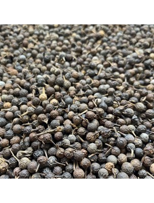 Image de Cubèbe - Fruit 100g - Tisane de Piper cubeba depuis Commandez les produits Louis à l'herboristerie Louis