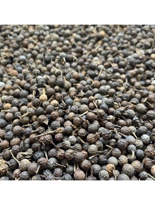 Image 47171 supplémentaire pour Cubèbe (Poivre à Queue) - Fruit 100g - Tisane de Piper cubeba