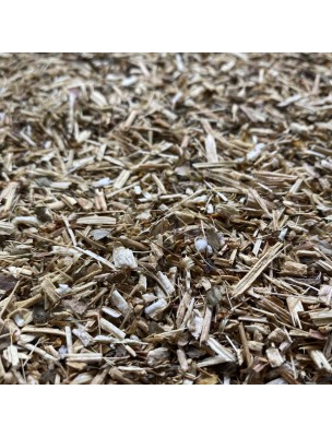 Image de Grindélia - Partie aérienne coupée 100g - Tisane de Grindelia robusta depuis louis-herboristerie