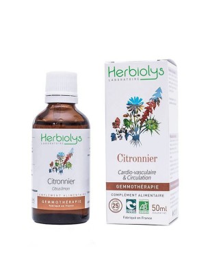 Image de Citronnier Macérât de jeune pousse Bio - Cardio-vasculaire et Circulation 50 ml - Herbiolys depuis louis-herboristerie
