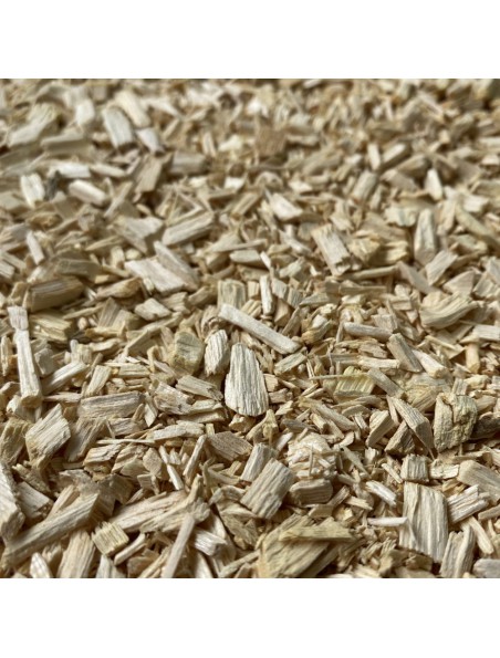 Quassia - Bois coupé 100g - Tisane de Picraena excelsa