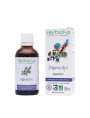 Image de Digestolys Bio - Digestion Fresh Plant Extract 50 ml Herbiolys via Buy BeDigest - Digestion 60 capsules
