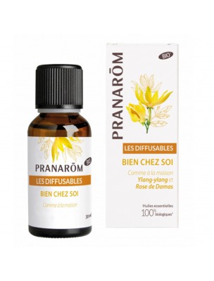 Image de Bien chez Soi Bio - Les Diffusables 30ml - Pranarôm via Diffuseur Porcelaine Jasmin - Les Encens du Monde