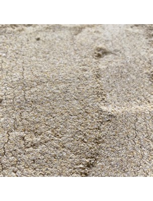 Image de Asa foetide - Gomme et Graine poudre 100g - Tisane de Ferula assa-foetida et de Trigonella foenum-graecum depuis Commandez les produits Louis à l'herboristerie Louis