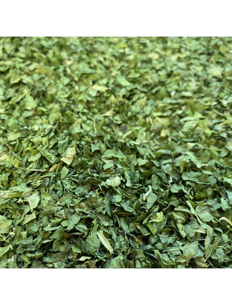 Image principale de la modale pour Epinard Bio - Feuilles coupées 50 g - Tisane de Spinacia oleracea L.