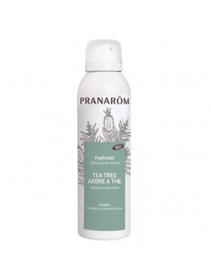 Image de Tea tree Bio - Hydrolat de Melaleuca alternifolia 150 ml - Pranarôm depuis Dermidéal Zinc et Bardane - Dietaroma